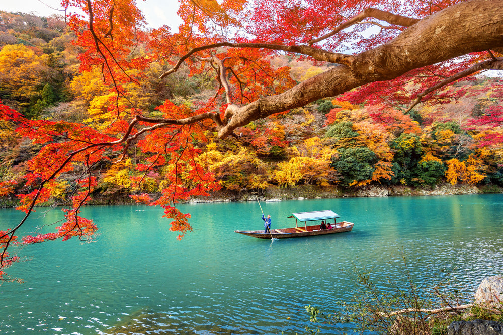 Harvesting Harmony: Understanding Japan’s Autumnal Equinox Day