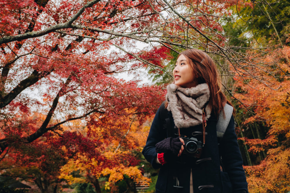 Discover the Best Autumn Colors in Japan: Fall Foliage Forecast & Guide