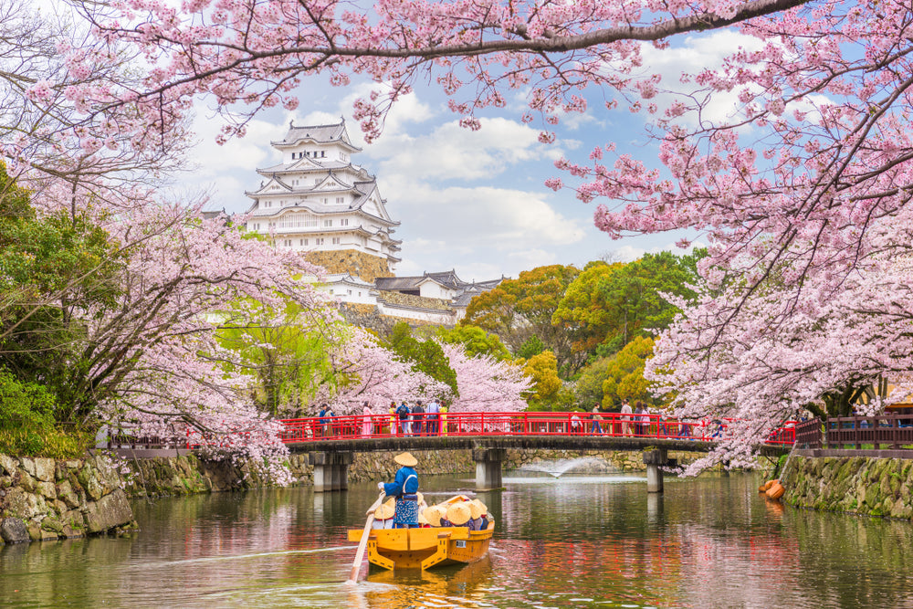 When Cherry Blossoms Bloom in Japan: A Guide to Nature’s Most Enchanting Season