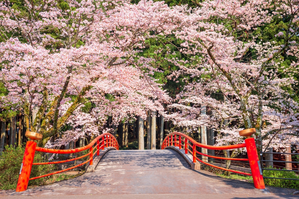 Get to Know Japan's Prefectures Through Japanese Snacks!