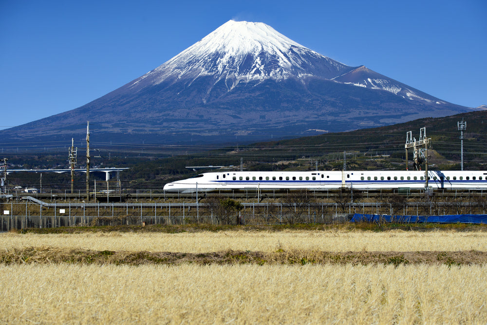 Hop On The Shinkansen!