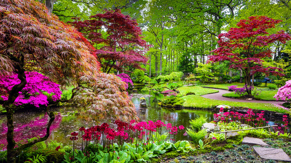 Japanese Garden