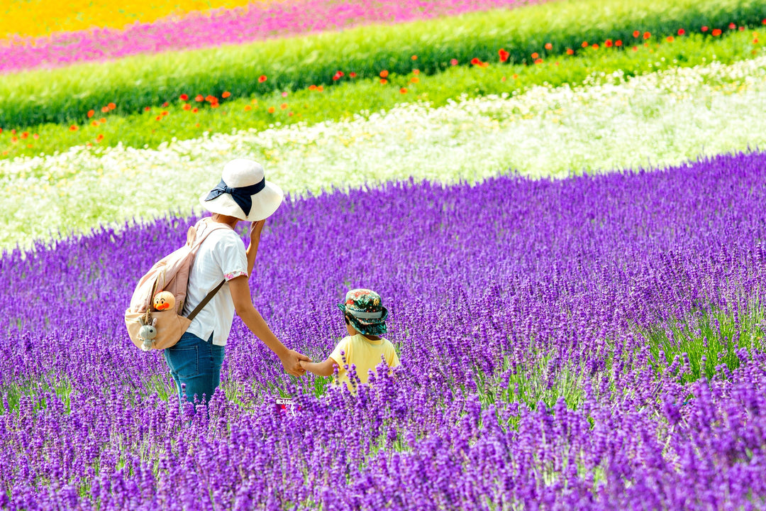 Summer Escapes: Best Places to Visit in Japan in August 2025