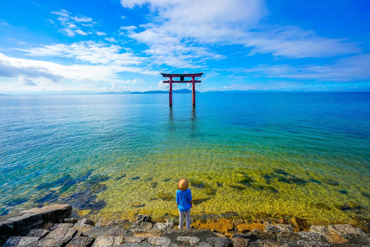 Unlocking the Meaning of Japanese Religious Symbols: Torii Gates, Shrines, and More