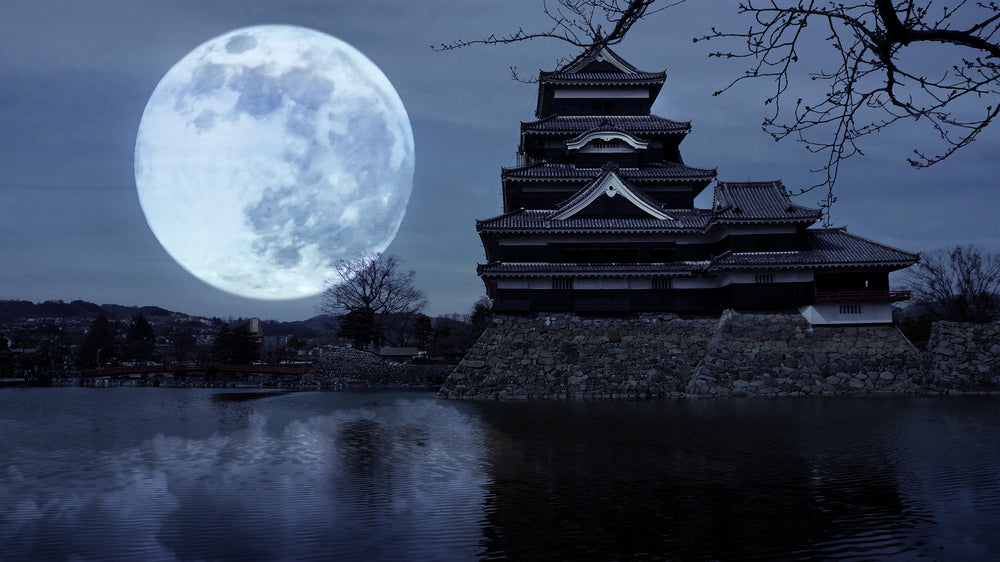 Celebrating the Moon Festival in Japan: A Guide to Tsukimi Traditions