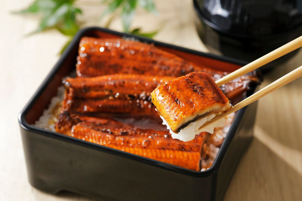 The Essence of Unagi: Discovering Japan’s Love for Eel