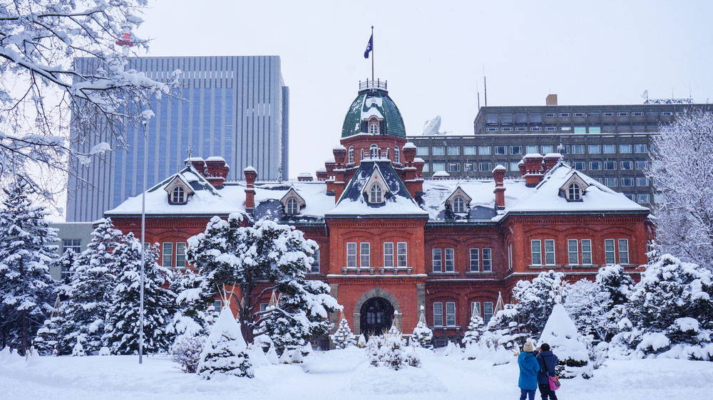 Tastes of the Sapporo Snow Festival