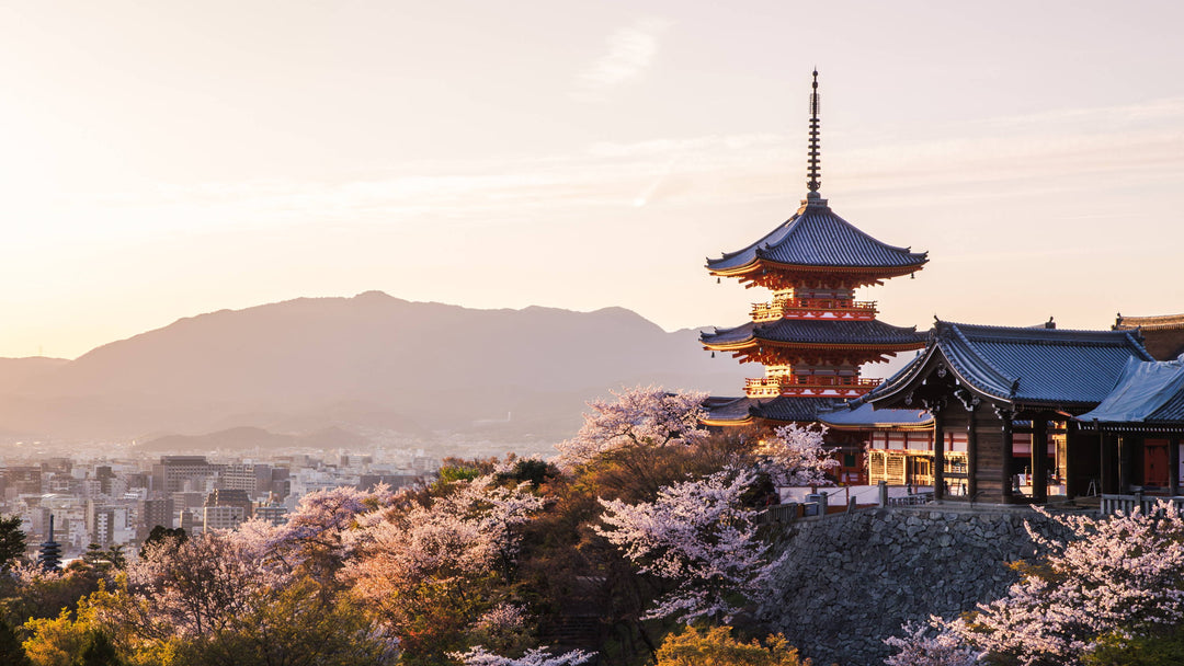 Iconic Japanese Snacks from Kyoto