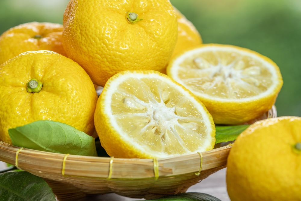 Fresh Sweet Yuzu Orange fruit in wooden basket over blur greenery background