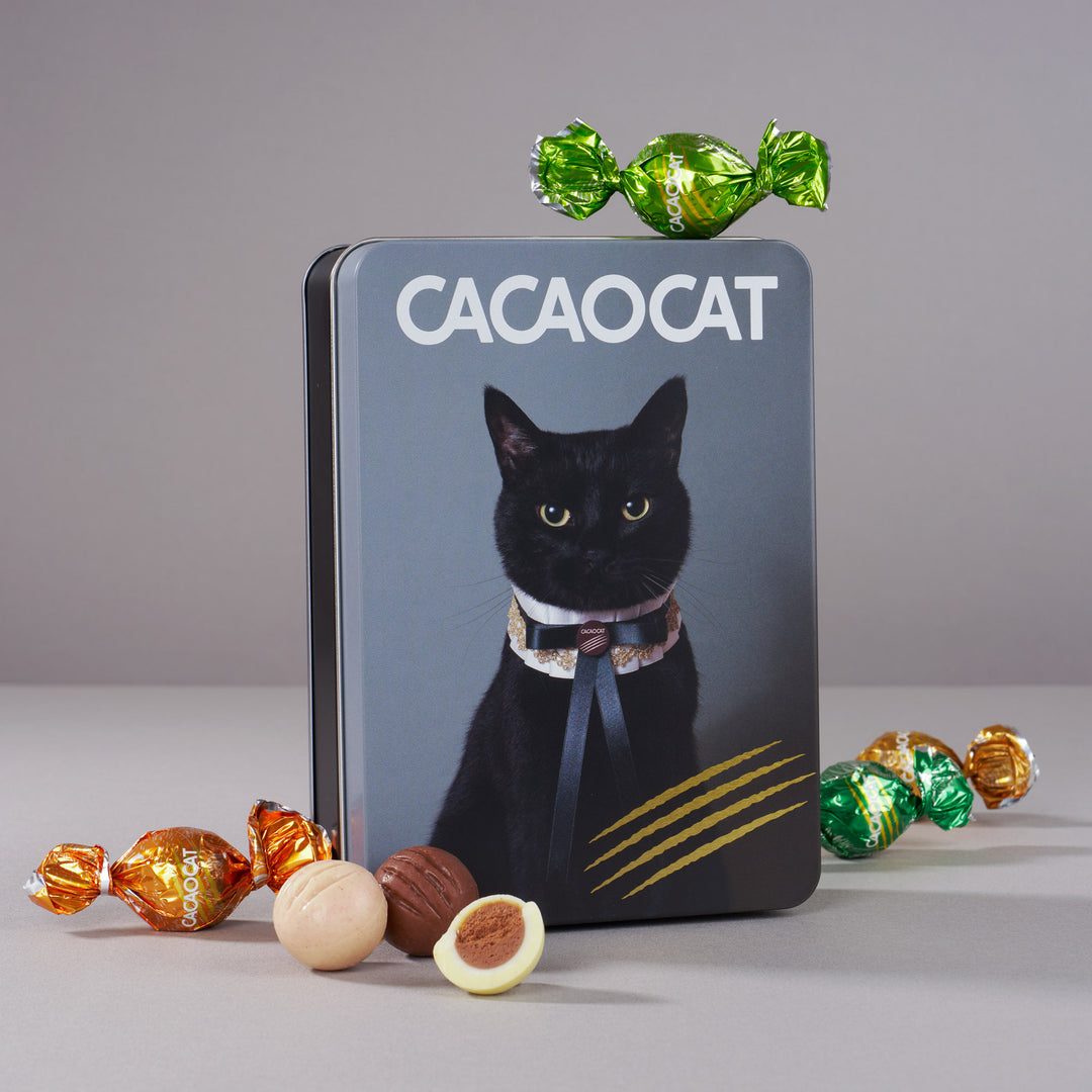 CACAOCAT Chocolate Gift Tin (14 Pieces, 14 Flavors)