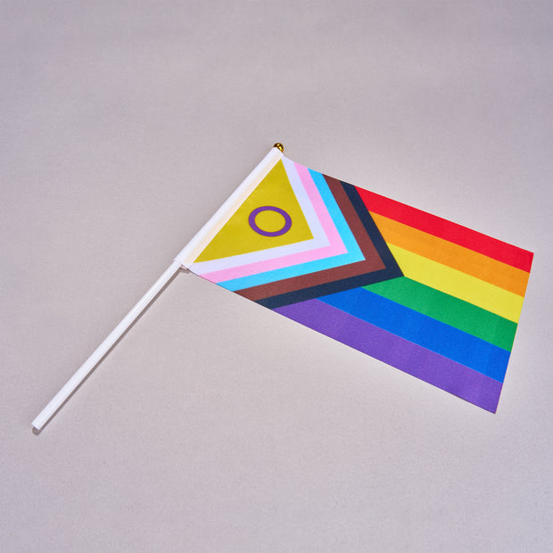 Small Rainbow Flag